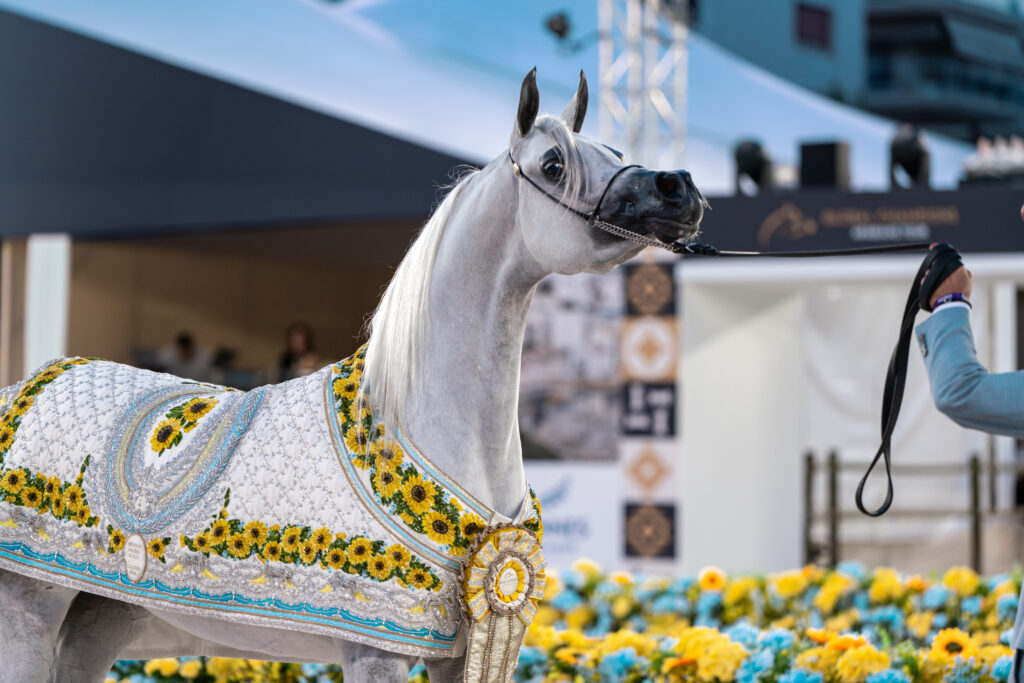 Global Champions Arabians Tour Rome 2024